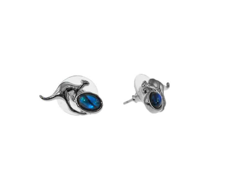 PAUA SHELL EARRINGS BOXED