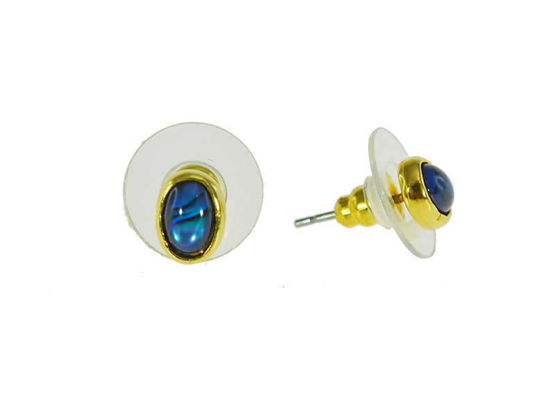 PAUA SHELL EARRINGS BOXED