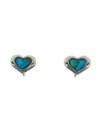 PAUA SHELL EARRING BOXED