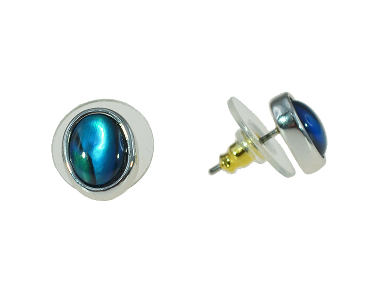 PAUA SHELL EARRINGS BOXED