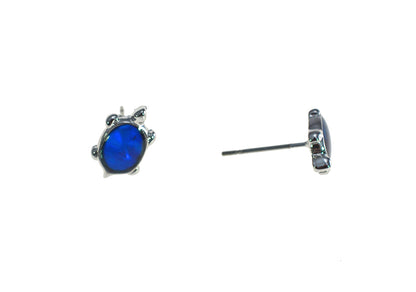PAUA SHELL EARRINGS BOXED