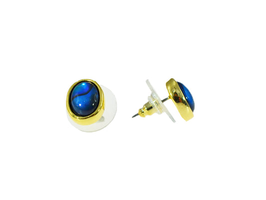 PAUA SHELL EARRINGS BOXED