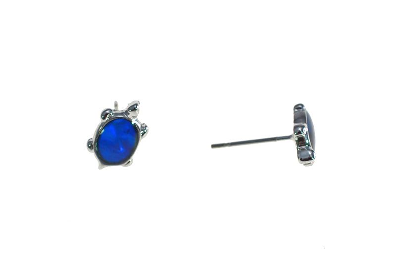 PAUA SHELL EARRINGS