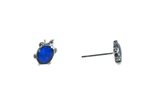 PAUA SHELL EARRINGS