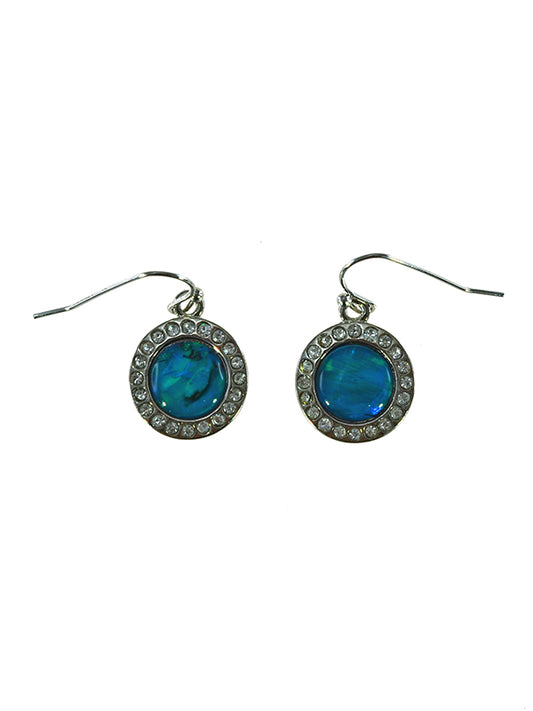 PAUA SHELL EARRING BOXED