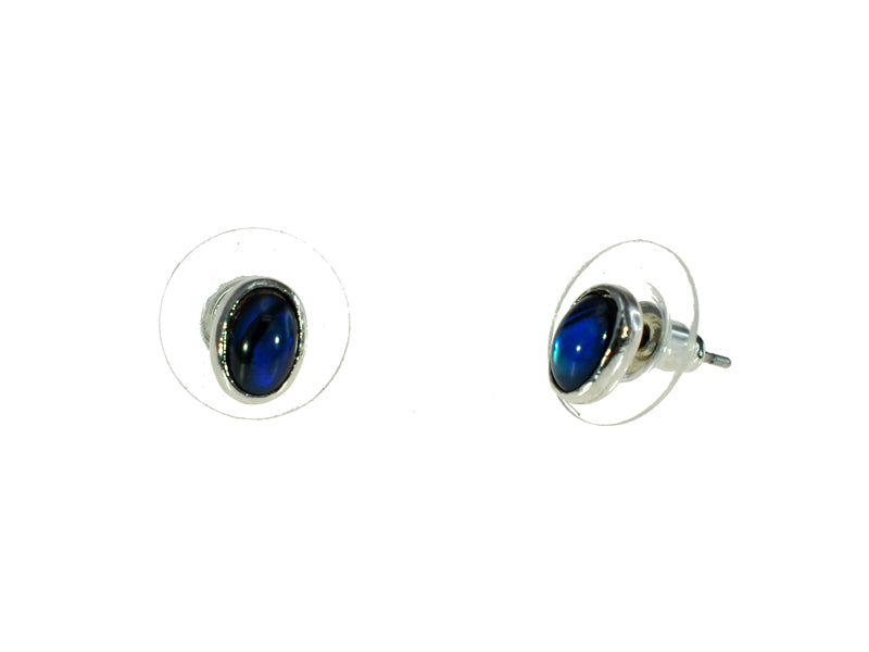 PAUA SHELL EARRINGS BOXED