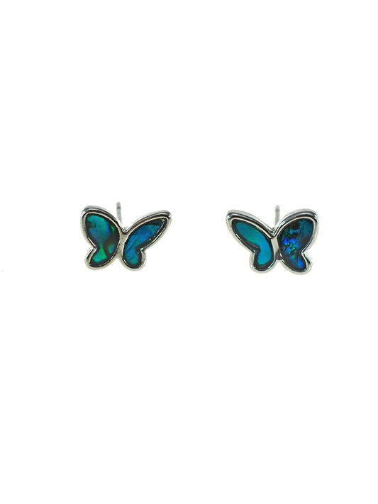 PAUA SHELL EARRING BOXED