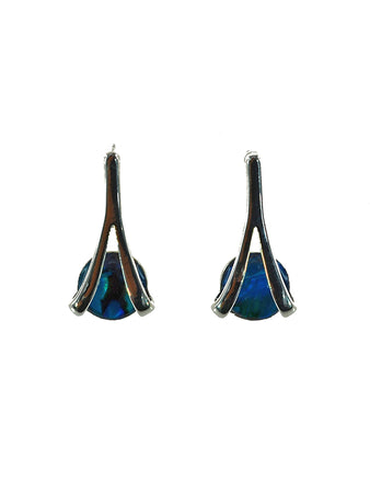 PAUA SHELL EARRING BOXED