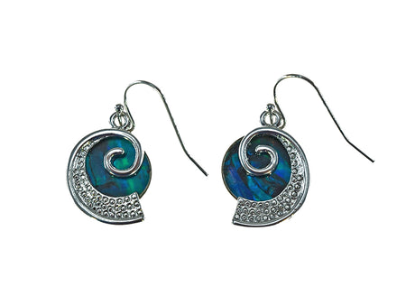PAUA SHELL EARRING BOXED