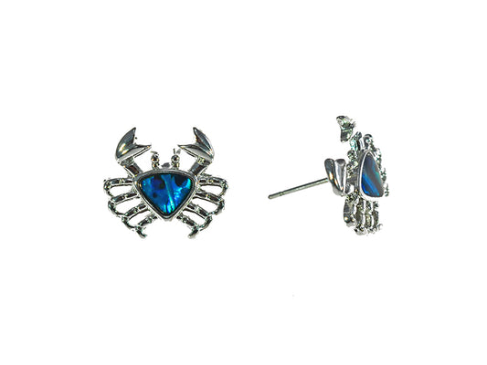 PAUA SHELL EARRINGS