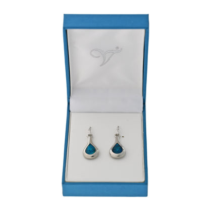 Paua Shell Drop Earrings