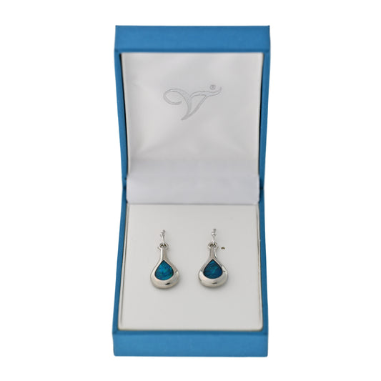 Paua Shell Drop Earrings