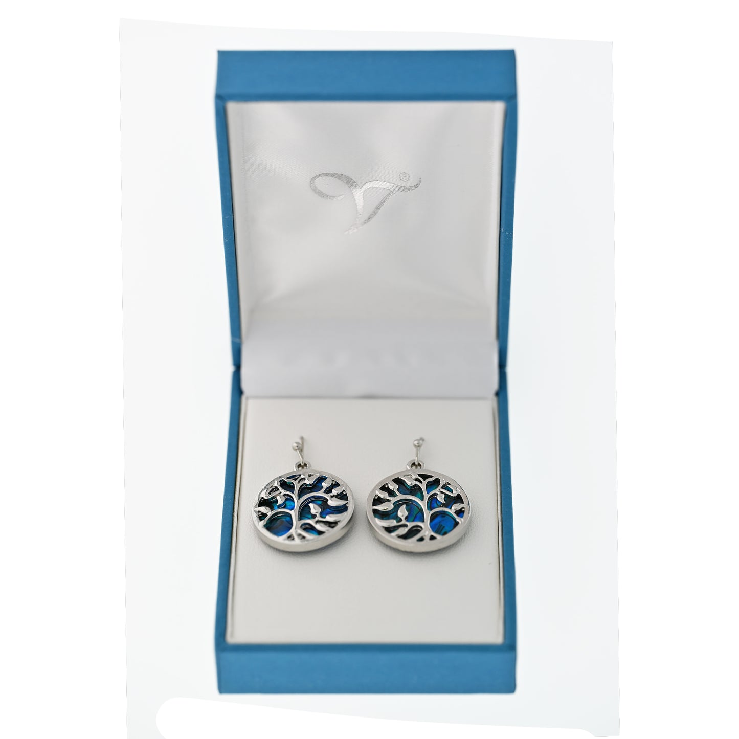 Paua Shell Round Drop Earrings