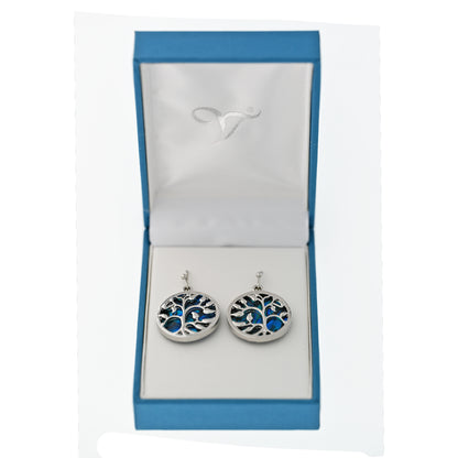 Paua Shell Round Drop Earrings