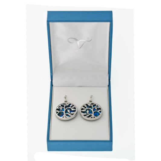 Paua Shell Round Drop Earrings