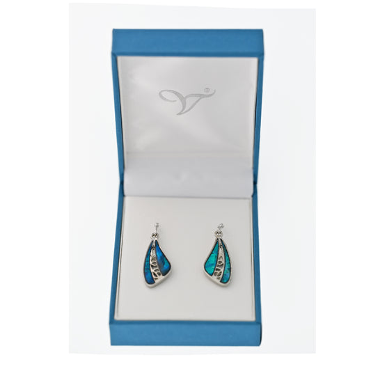 Paua Shell Drop Earrings