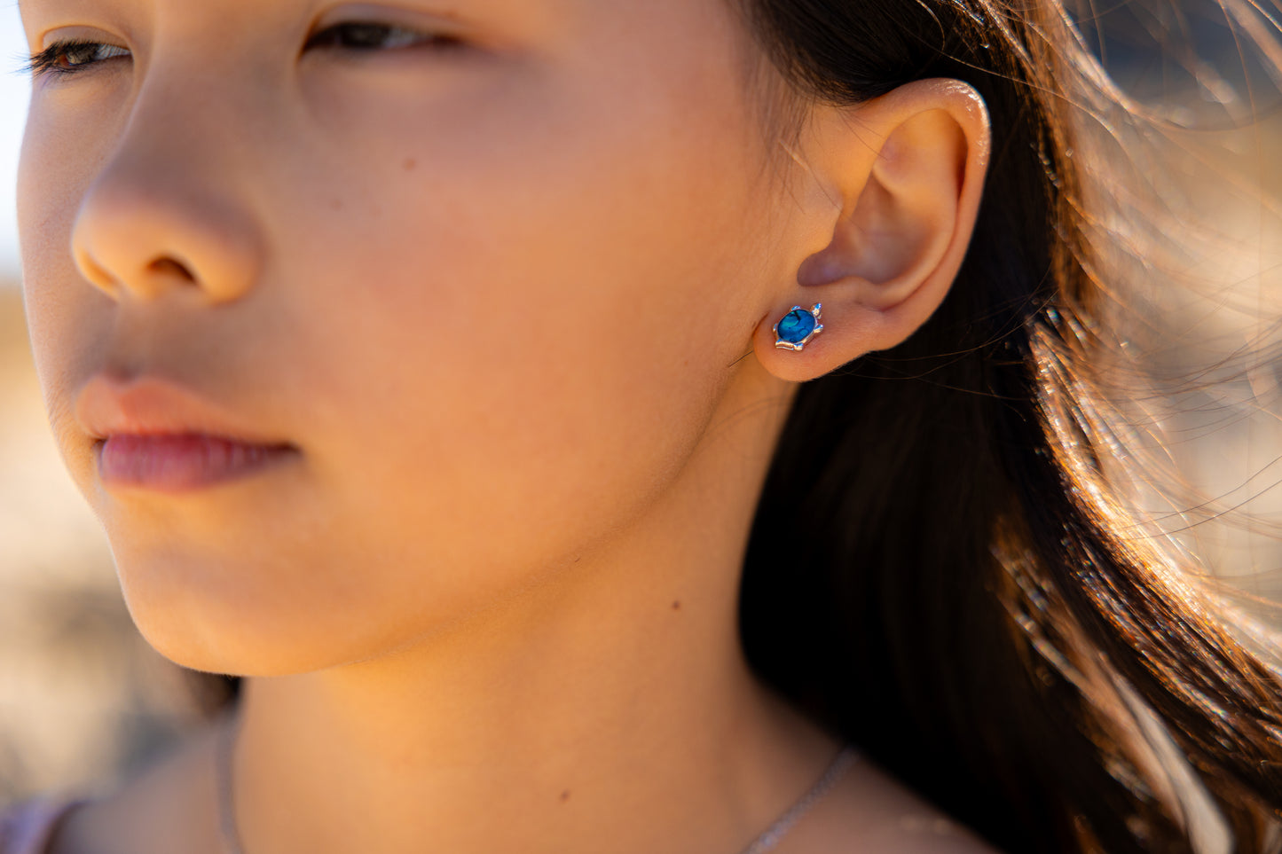 PAUA SHELL EARRINGS BOXED